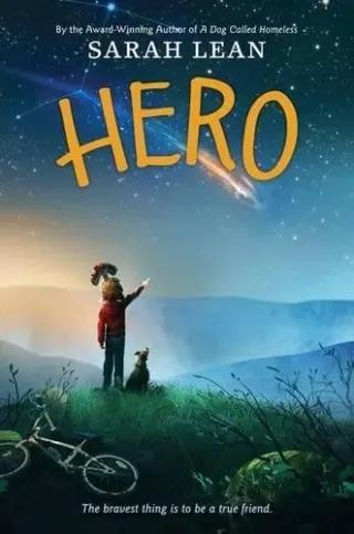 Hero by Sarah Lean