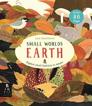 Small Worlds: Earth by Lara Hawthorne, Camilla De La Bedoyere