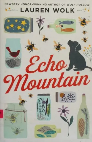 Echo Mountain by Lauren Wolk